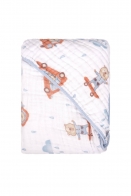 TOALHA C/CAPUZ DE CANTO BABY JOY SOFT MAIS ESTAMPADA 85CMX85CM PCT C/01UN //URSO CARRINHO